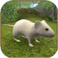 疯狂地鼠3d模拟游戏