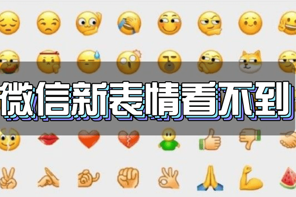 表情包6id是什么意思图片