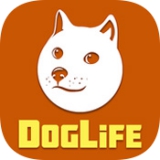 DogLife游戏