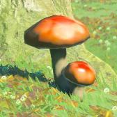 海拉鲁蘑菇