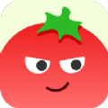 番茄相册大师app手机版