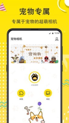 宠物相机app